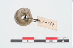 Foto von Kalksteinringperle (NHMW-PRAE-024887)
